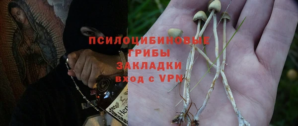 гидра Бронницы
