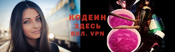 сатива Богородицк