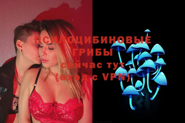 сатива Богородицк