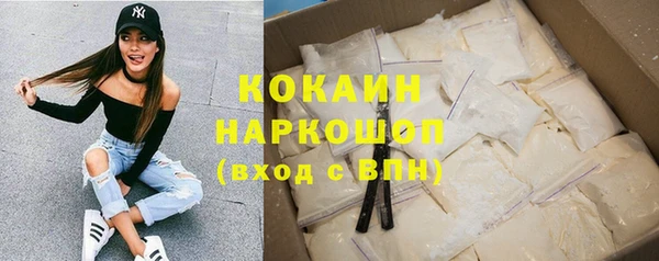 твердый Богородск