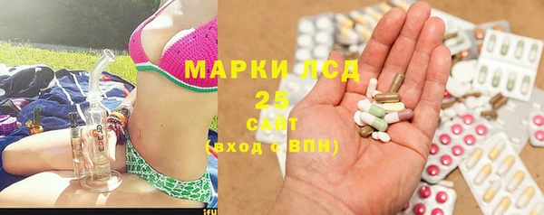 сатива Богородицк