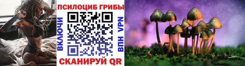 как найти   hydra как войти  Галлюциногенные грибы Magic Shrooms  Новосокольники 
